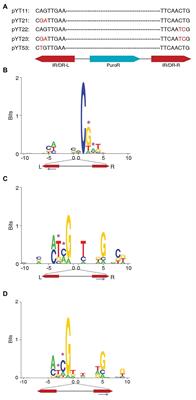 The Integration Preference of Sleeping Beauty at Non-TA Site Is Related to the Transposon End Sequences